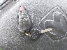 3C63DRJL0CG****** Repairable 2012 RAM 3500 in Wilmington