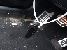 JTHGZ1E21S5****** Salvamento 2025 Lexus IS 350 en Estado de Nueva York