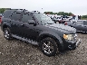 1FMCU04G29K****** Salvage and Wrecked 2009 Ford Escape in Elkton