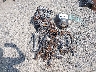 JS1EJ11B5P7****** Used 2023 Suzuki Hayabusa in North Carolina State