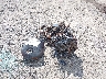 JS1EJ11B5P7****** Used and Repairable 2023 Suzuki Hayabusa in North Carolina State