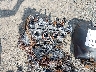 JS1EJ11B5P7****** Salvage 2023 Suzuki Hayabusa in Raleigh