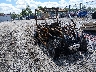LCELVYZP2R6****** Salvamento y Destrozados 2024 CF Moto Zforce en Shady Spring