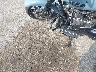 1HD1KB712RB****** Wrecked 2024 Harley-Davidson FLHX in New York State