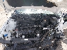 KMHLL4DG6RU****** Reparables 2024 Hyundai Elantra en Buckhannon