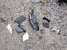 KMHLL4DG6RU****** Destrozados 2024 Hyundai Elantra en Estado de Virginia Occidental