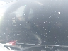 KNAG64J74T5****** Salvage 2026 Kia K5 in West Palm Beach
