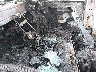 2C3CDXBG0GH****** Wrecked 2016 Dodge Charger in Fort Myers