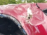1C4SDJCT1MC****** Salvage and Wrecked 2021 Dodge Durango in Albany