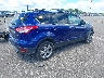 1FMCU0HX8DU****** Salvage and Wrecked 2013 Ford Escape in Minnesota State