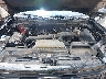 1FMJU1H88SE****** Reparables 2025 Ford Expedition en Lubbock