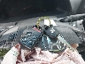 5FNRL3H4XAB****** Salvage 2010 Honda Odyssey in Ohio State