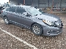 5NPE24AF5KH****** Salvage and Wrecked 2019 Hyundai Sonata in Grenada