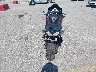 JKBZXNJ16RA****** Salvage and Repairable 2024 Kawasaki Ninja ZX-14R in Missouri State