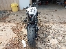 SMTA604S8RT****** Salvage and Repairable 2024 Triumph Street Triple in North Carolina State