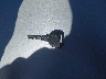 1GKER33D99J****** Salvage 2009 GMC Acadia in Wisconsin State