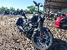 56KDLDBH2P3****** Salvamento y Destrozados 2023 Indian Chief Bobber Dark Horse en Cleveland