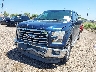 1FTEW1EF6HK****** Salvage and Repairable 2017 Ford F-150 in Texas State