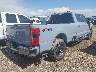 1FT8W2BT8RE****** Salvamento y Destrozados 2024 Ford F-250 en Estado de Colorado