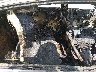 1N4AL3AP0JC****** Wrecked 2018 Nissan Altima in Little Rock