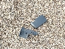 2G1125S39J9****** Wrecked 2018 Chevrolet Impala in Texas State