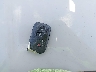JTHCL5EF3C5****** Salvage 2012 Lexus LS 460 in South Carolina State