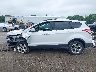 1FMCU9GX2DU****** Salvamento 2013 Ford Escape