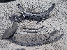 1G1ZD5ST7RF****** Wrecked 2024 Chevrolet Malibu in Washington State