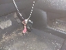 2T2ZK1BA4BC****** Salvage 2011 Lexus RX 350 in Louisiana State