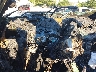 1C6SRFLT3LN****** Salvage 2020 RAM 1500 in Southern New Jersey