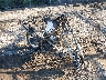 JYADG19E5AA****** Salvage and Wrecked 2010 Yamaha Xt250 in Indianapolis