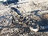 JYADG19E5AA****** Salvage and Repairable 2010 Yamaha Xt250 in Indianapolis