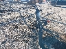JYADG19E5AA****** Salvage and Repairable 2010 Yamaha Xt250 in Indiana State