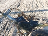 JYADG19E5AA****** Salvage 2010 Yamaha Xt250 in Indianapolis
