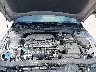 KMHLM4DG1SU****** Reparables 2025 Hyundai Elantra en Austin North