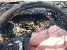 1FMCU9JX5FU****** Salvage 2015 Ford Escape in Metro DC