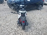 RFVPAC205M1****** Salvamento y Reparables 2021 Genuine Scooter Buddy (50, 125, 170i) en Estado de Texas