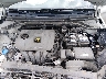 5NPD84LF8HH****** Wrecked 2017 Hyundai Elantra in Louisville North