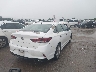 5NPE34AF9KH****** Salvamento y Destrozados 2019 Hyundai Sonata en Estado de Texas