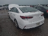 5NPE34AF9KH****** Salvamento y Reparables 2019 Hyundai Sonata en Estado de Texas