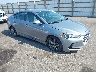 5NPD84LF1HH****** Salvage and Wrecked 2017 Hyundai Elantra in Saint Cloud
