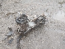 ZD4KSUG09PS****** Salvage and Repairable 2023 Aprilia Rs in Tidewater