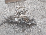 ZD4KSUG09PS****** Salvage and Wrecked 2023 Aprilia Rs in Virginia State