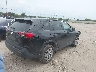 2T3H1RFVXPW****** Salvage and Wrecked 2023 Toyota RAV4 in Texas State