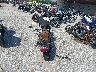 1HD1CT3198K****** Salvamento y Reparables 2008 Harley-Davidson Xl1200 en Estado de Texas