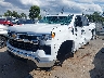 2GCUKDED0S1****** Usados y Reparables 2025 Chevrolet Silverado 1500 en Charlotte