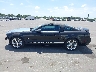 1ZVFT82H675****** Reparables 2007 Ford Mustang en Estado de Florida