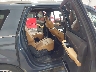 1FMJK1M84PE****** Destrozados 2023 Ford Expedition en Dream Rides