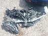 WDDKJ5KB8EF****** Wrecked 2014 Mercedes-Benz E 350 in Texas State