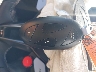 KMHLW4DKXSU****** Salvage 2025 Hyundai Elantra N in Ohio State